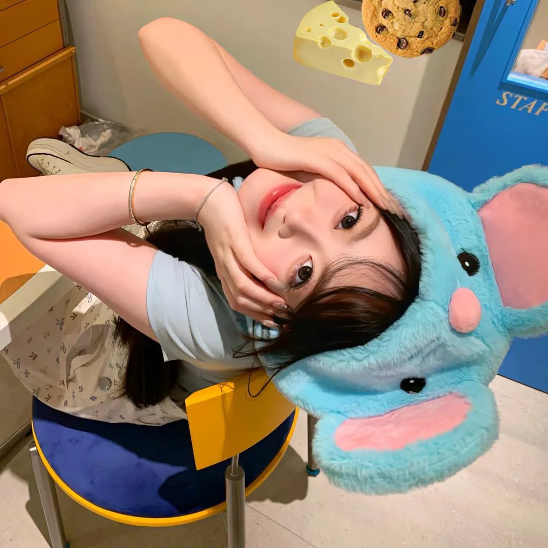 飞鼠洛基冒险记